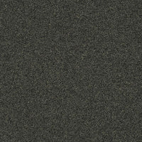 Interface Polichrome Stipple Peat 4265008 Carpet Tiles