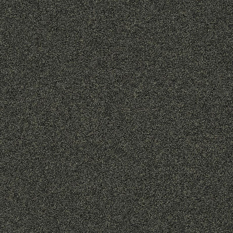 Interface Polichrome Stipple Peat 4265008 Carpet Tiles - DCTUK