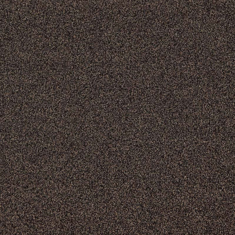 Interface Touch & Tones II 101 Coffee 4174064 Carpet Tiles - DCTUK