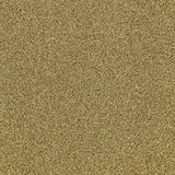 Interface Touch & Tones II 101 Gold 4174075 Carpet Tiles - DCTUK