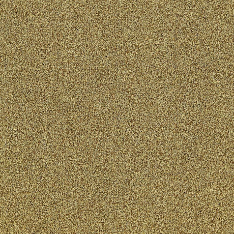 Interface Touch & Tones II 101 Gold 4174075 Carpet Tiles - DCTUK