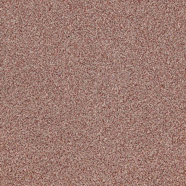 Blush 4175082
