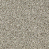 Interface Touch & Tones II 103 Biscuit 4176045 Carpet Tiles - DCTUK