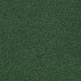 Interface Touch & Tones II 103 Forest 4176054 Carpet Tiles - DCTUK