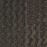 Interface Transformation Truffle Carpet Tiles - DCTUK