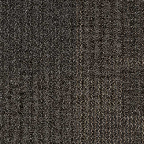 Interface Transformation Truffle Carpet Tiles - DCTUK