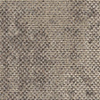 Interface Upon Common Ground Dry Bark 2529005 Rainforest Neutral Carpet Planks - DCTUK