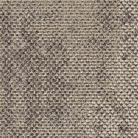 Interface Upon Common Ground Dry Bark Carpet Planks 2529005 Rainforest Neutral Carpet Planks