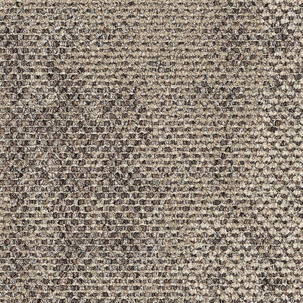 2529005 Rainforest Neutral
