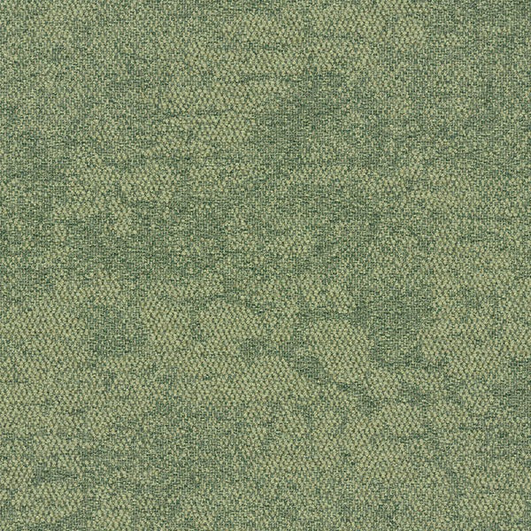 2525001 Desert Shrub