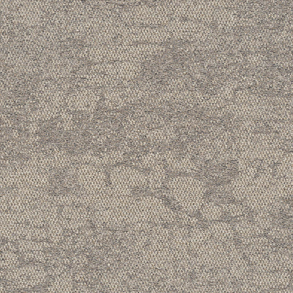 2525009 Rainforest Neutral