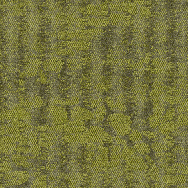 2525010 Freshwater Lomandra