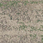 Interface Upon Common Ground Shallows 2527003 Rainforest Carpet Planks - DCTUK