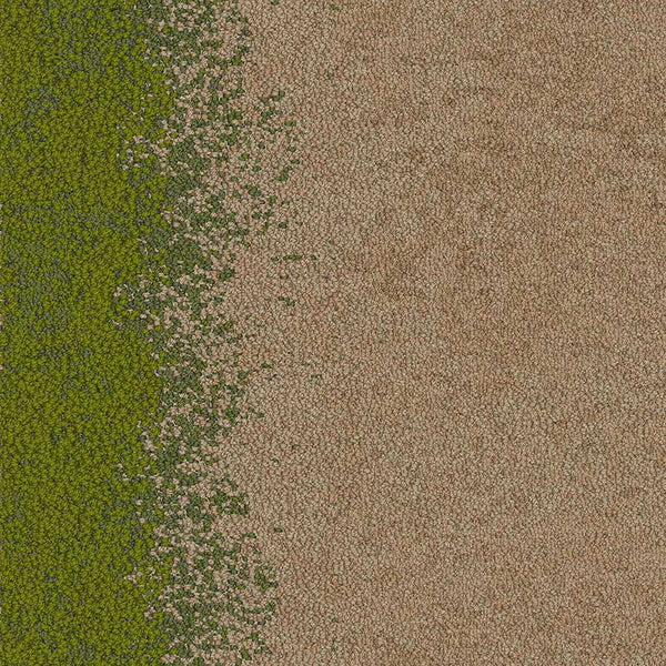 Straw/Grass