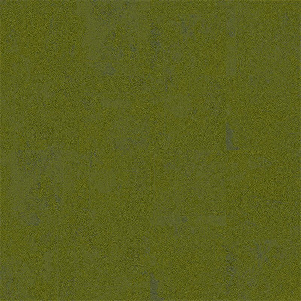 Grass