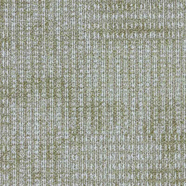 Cactus 4310002