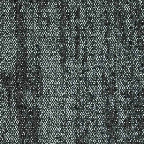 Black 4276006