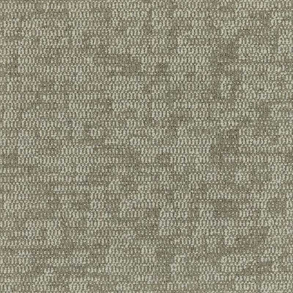 4290008 Parchment