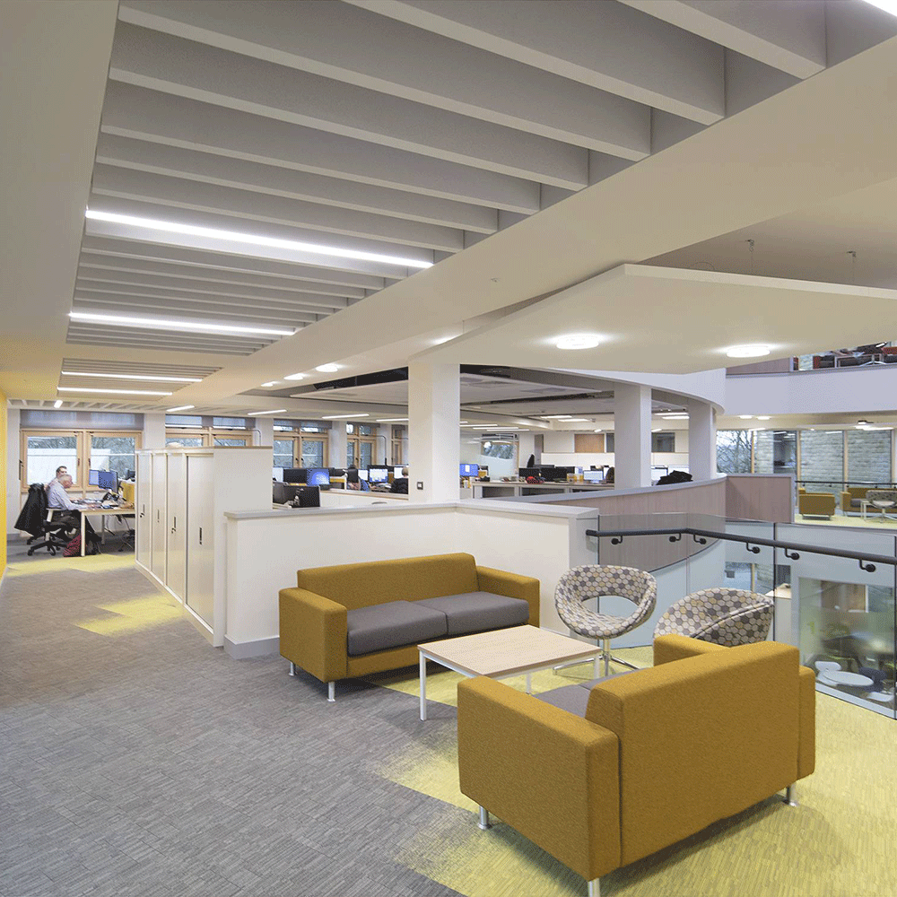 Milliken Laylines - Brights