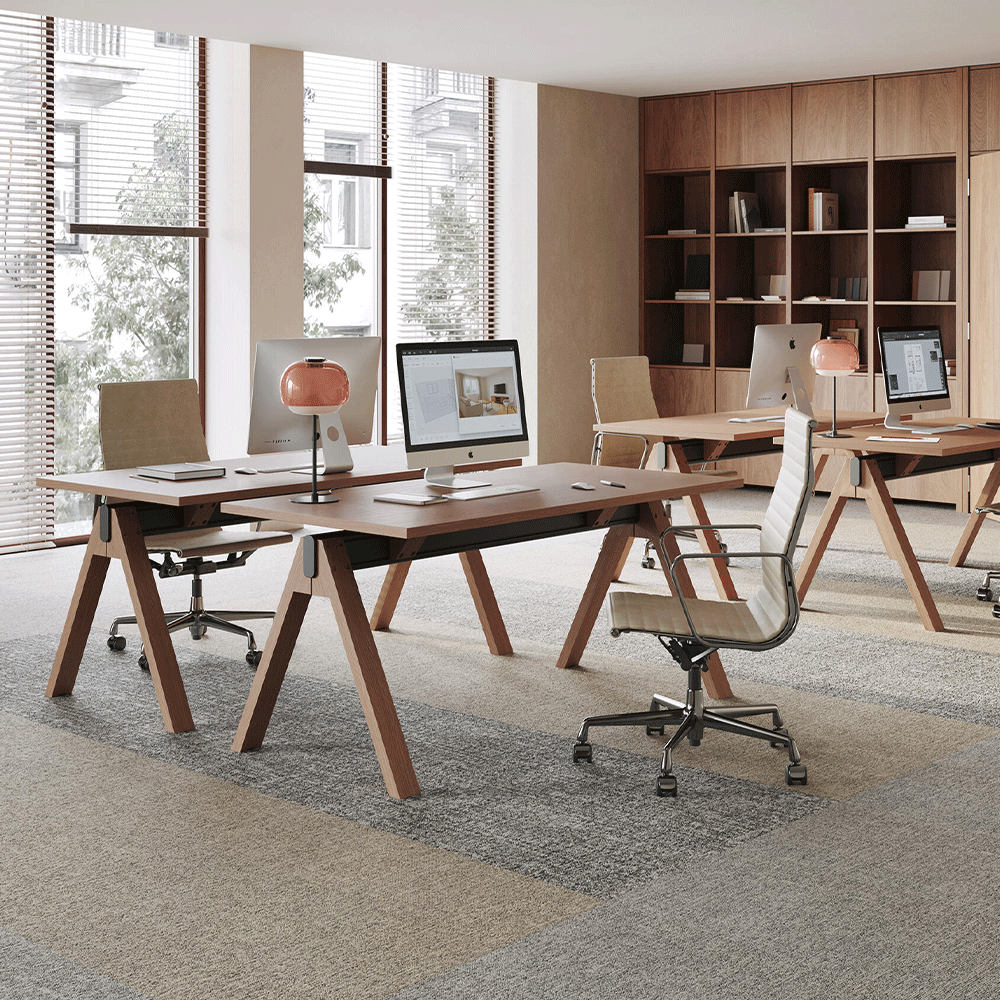 Desso Linon