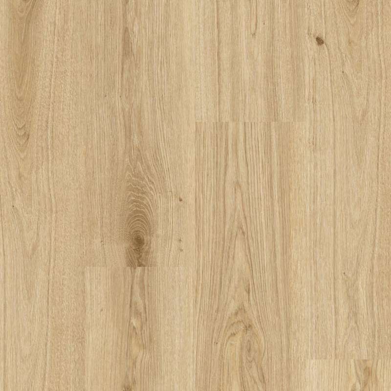 Tarkett Essence 55 Gluedown Primary Oak Light Brown 260053005