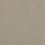 Forbo Colorex EC