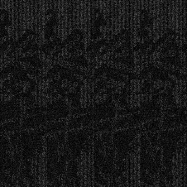 Black Ice