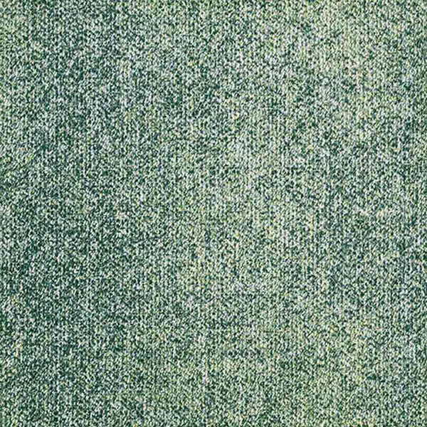Shoal SEA73-240
