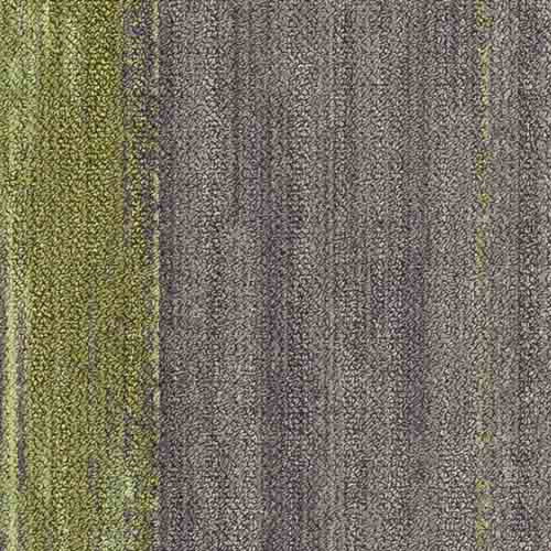 Chamois/Crayon CMP166/165
