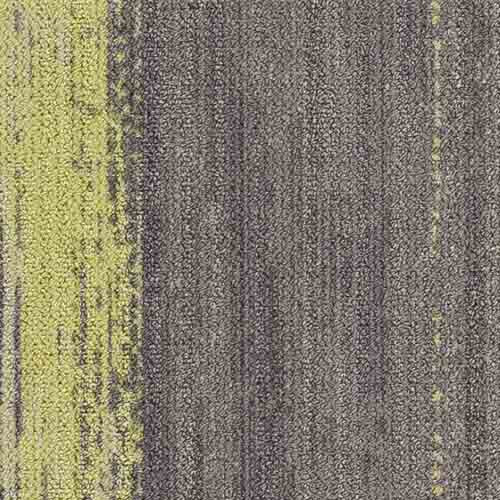 Chamois/Raku CMP103/165