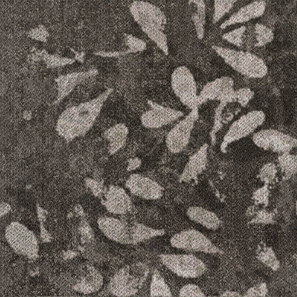Hare/Silver Birch