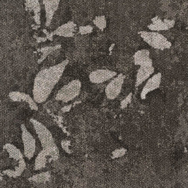 Hare/Silver Birch