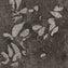 Milliken Down To Earth Leaf Scatter Hare/Silver Birch Carpet Tiles - DCTUK