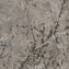 Milliken Down To Earth Twig Scatter Silver Birch/Hare Carpet Tiles - DCTUK