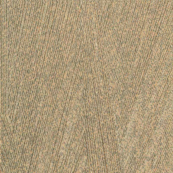 Latte FCT212-227