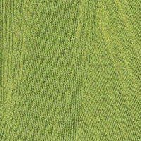 Milliken Facet Lime FCT103-141 Carpet Tiles