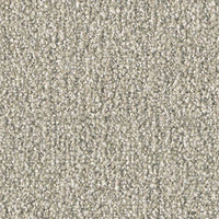 Milliken Glasshouse EDN48 Exotic Carpet Tiles