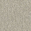 Milliken Glasshouse EDN48 Exotic Carpet Tiles - DCTUK
