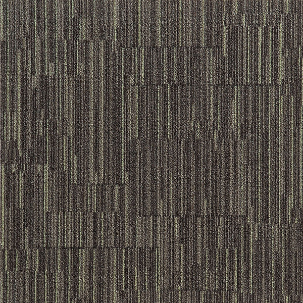 Cocoa