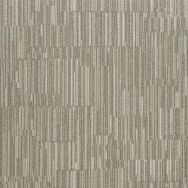 Maize