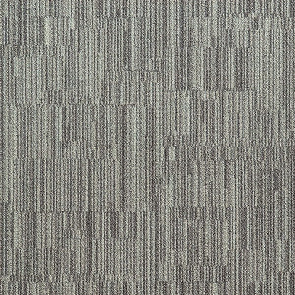 Ostrich
