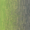 Milliken Laylines - Transitions Zing/Sweater Carpet Tiles - DCTUK