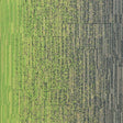 Milliken Laylines - Transitions Zing/Sweater Carpet Tiles - DCTUK