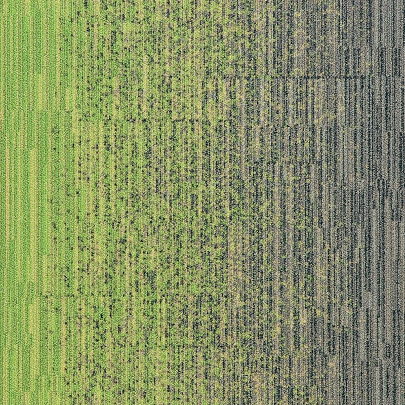 Milliken Laylines - Transitions Zing/Sweater Carpet Tiles - DCTUK