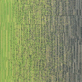 Milliken Laylines - Transitions Zing/Sweater Carpet Tiles - DCTUK