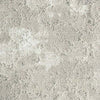Milliken Painted Garden Bloom PGN236 - 218 - 217 Carpet Planks - DCTUK