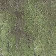 Milliken Painted Garden Botanical PGN74 - 62 Carpet Planks - DCTUK