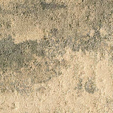 Milliken Painted Garden Fragrant PGN97 - 221 Carpet Planks - DCTUK
