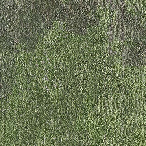 Milliken Painted Garden Lawn PGN230 - 141 Carpet Planks - DCTUK