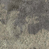 Milliken Painted Garden Loam PGN27 - 13 - 165 Carpet Planks - DCTUK